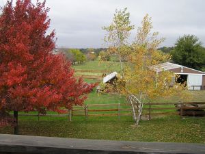 Fall colors 2007…our barn and pasture