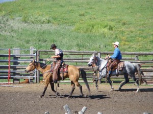 larger cowboys