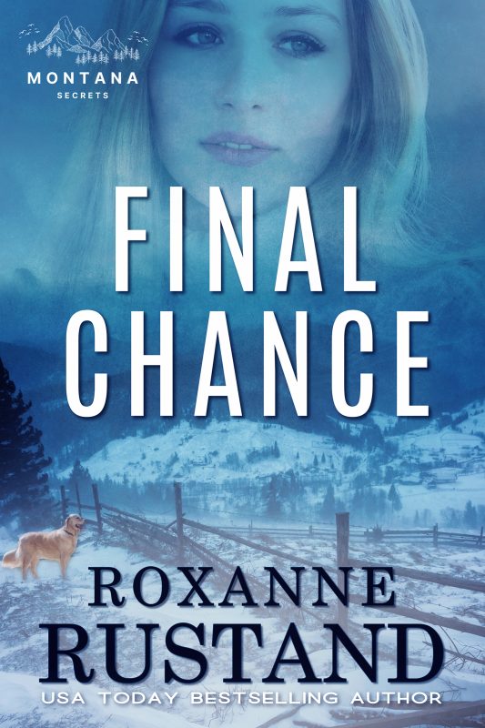 Final Chance  …an inspirational romantic suspense